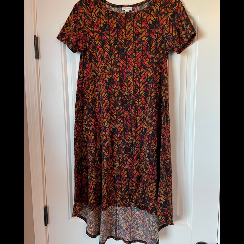 LulaRoe Carly Dress